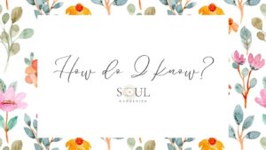 Discover Your Clairs